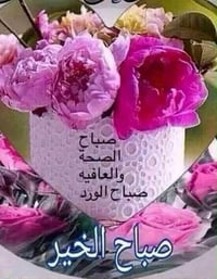 مساعدة كبار • تنظيف طبخ • زعفرانية