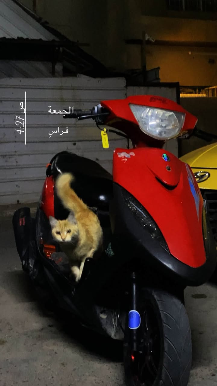 ماكس عدله • مكينه بلاديه • ما مفتوحه