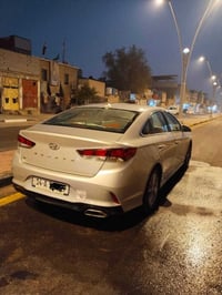 سوناته • ٢٠١٩ • وارد امريكي