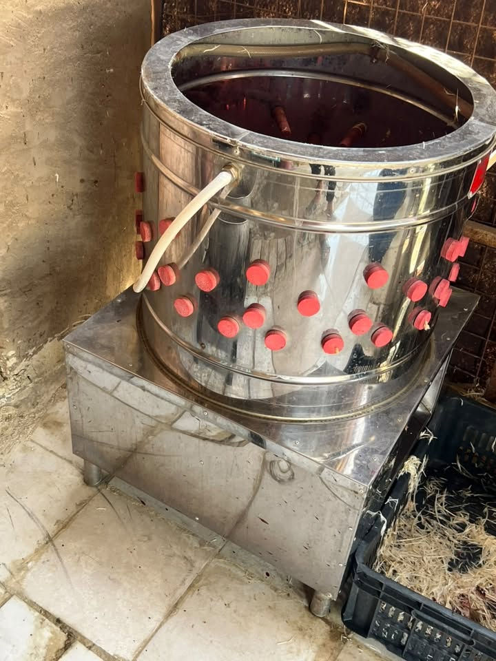 غراض محل دجاج للبيع هلاسه +سنك + ميزان +مذبح +مولده +مبرده 
الاستفسار عن طريق الاتصال ع رقم ***********
