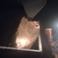 رمل بناء • ليل ونهار • ٢٤ ساعة