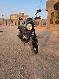 بوكسر • ٢٠٢٣ • برقي