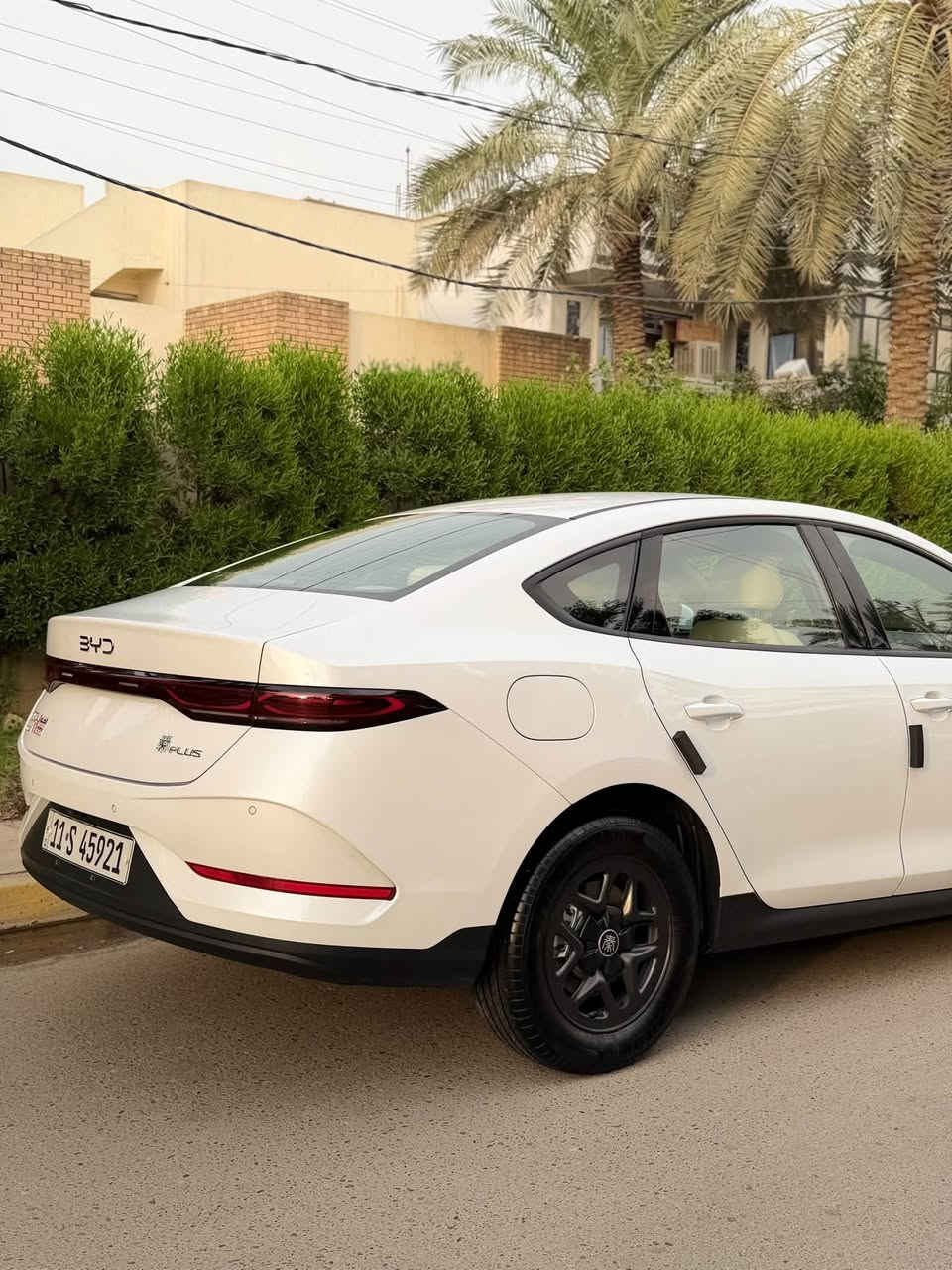 كيو بلس • ٢٠٢٥ • رقم بغداد