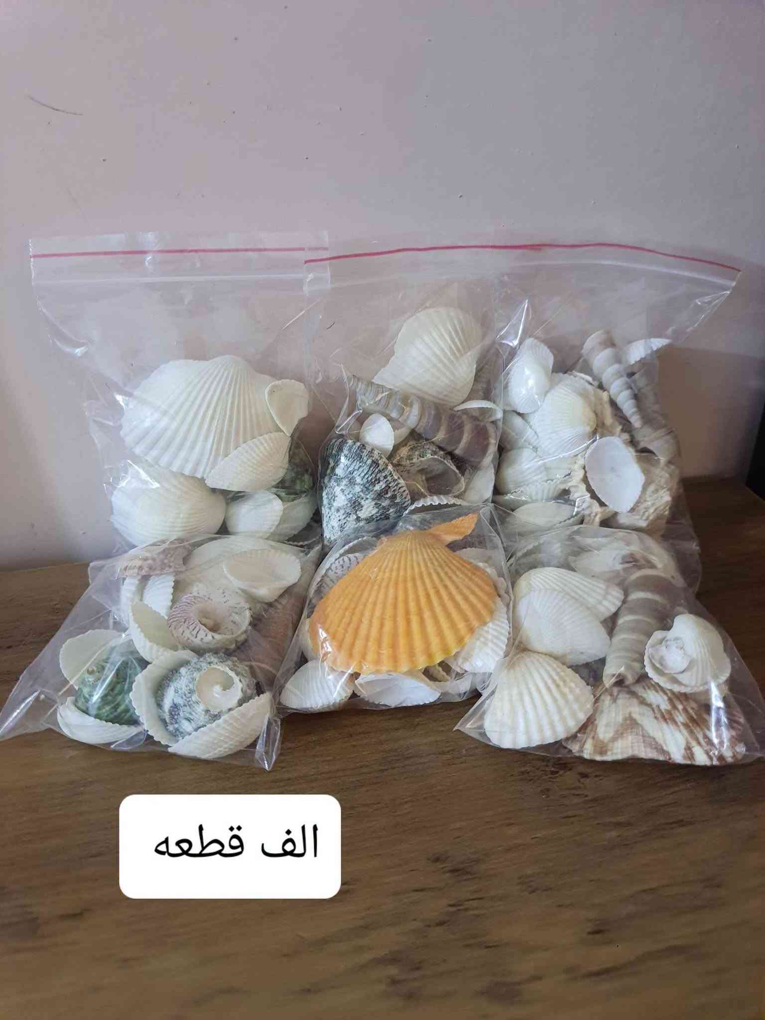 غراض لزرع سنادين دوارق  رف  لزرع  
بسعار مناسبه 
استفسار خاص وتدللون

نص مكتوب في الصور:
- حجم 20. ب 5000
- حجم 17 ب 4000
- ارضيات بلاستك قويه عدد. 9 9000
- 12. ألف
- بتموس 5 لتر 2500
- الف قطعه