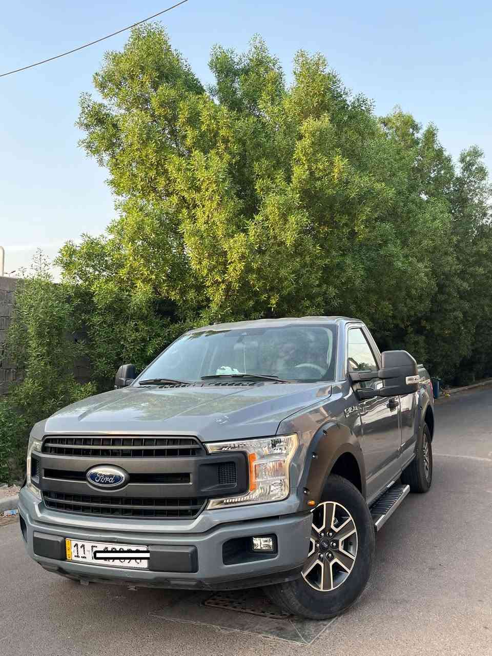 فورد F150 • ٢٠١٩ • حادث