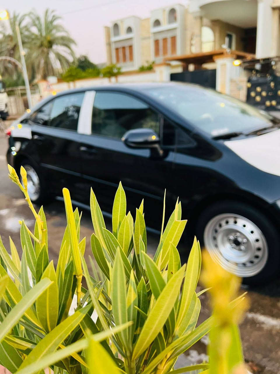 السلام وعليكم 
كورلا 2021..LE وارد امريكي 
مبدل بيها مدكرين امامي و بنيد 
هند بريك بصمه 
تحكم ستريت جهتين 
تخم تاير جديد 
تخم رنك جديد 
حداديه جديده 
كير مكينه مكفولات 
مكلف بنشر 
للستفسار اتصل ***********
