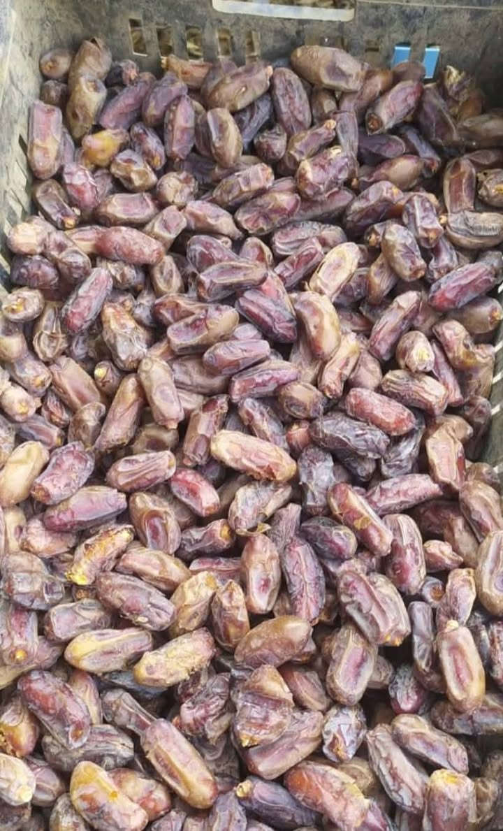 تمر شويثي • درجى اولى • توصيل