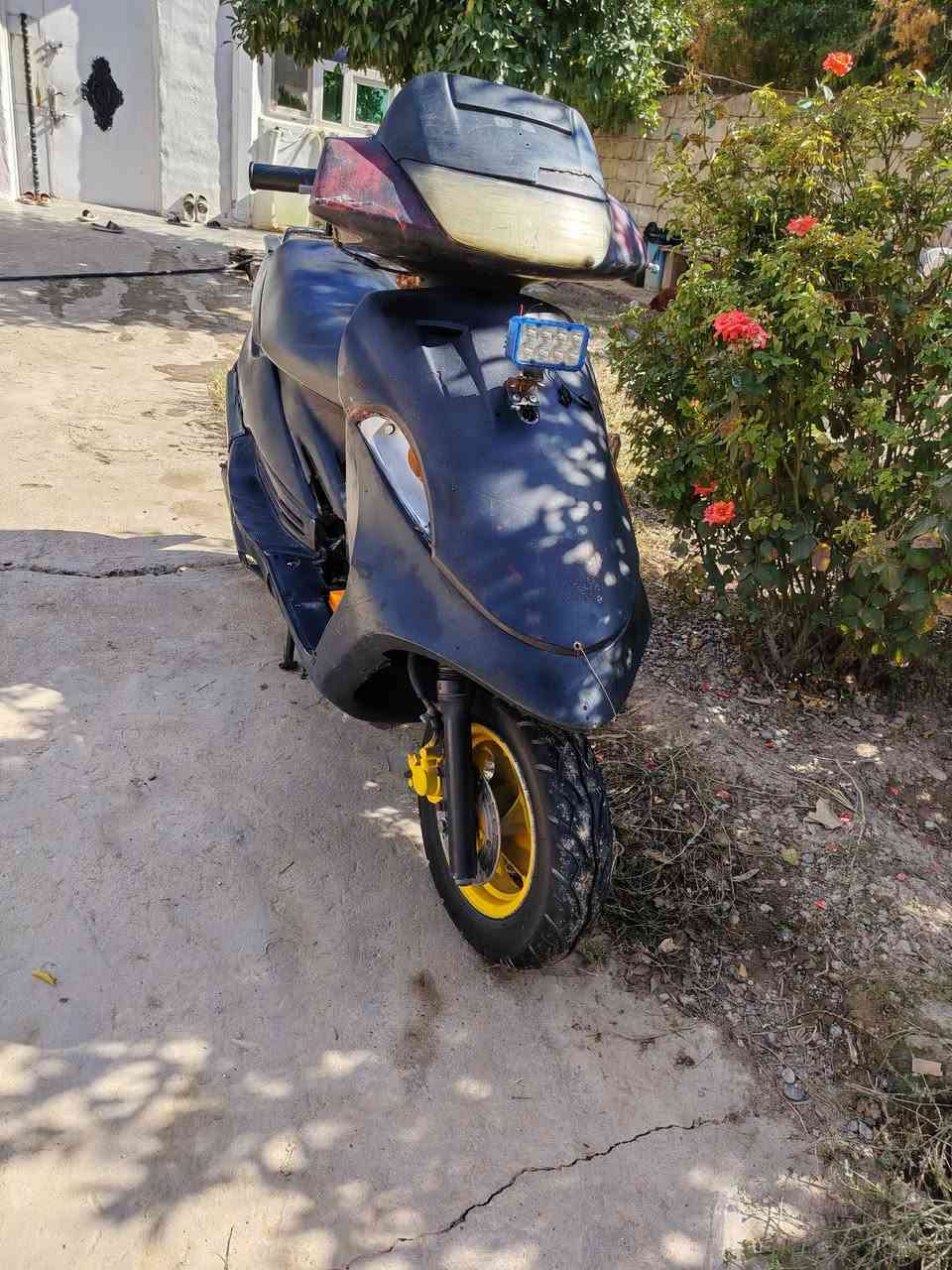 فراشة • ١٢٥