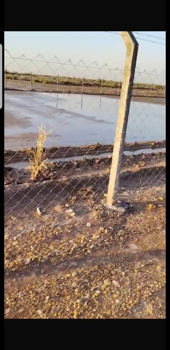 سند ٢٥ • طابو زراعي • ١ دونم
