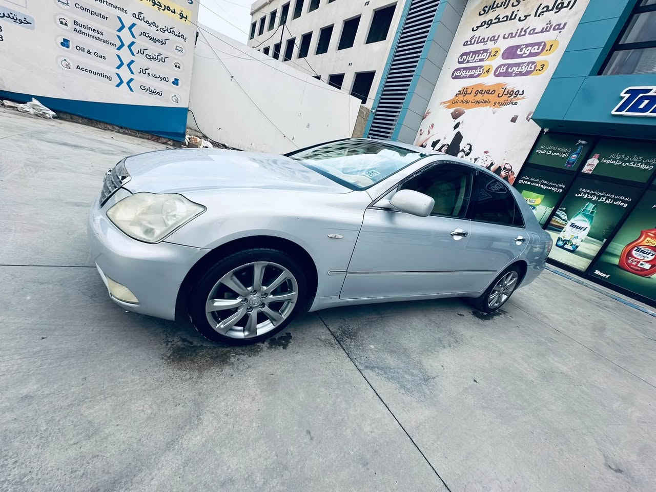شاهین • ٢٠٠٧ • حالة زينة