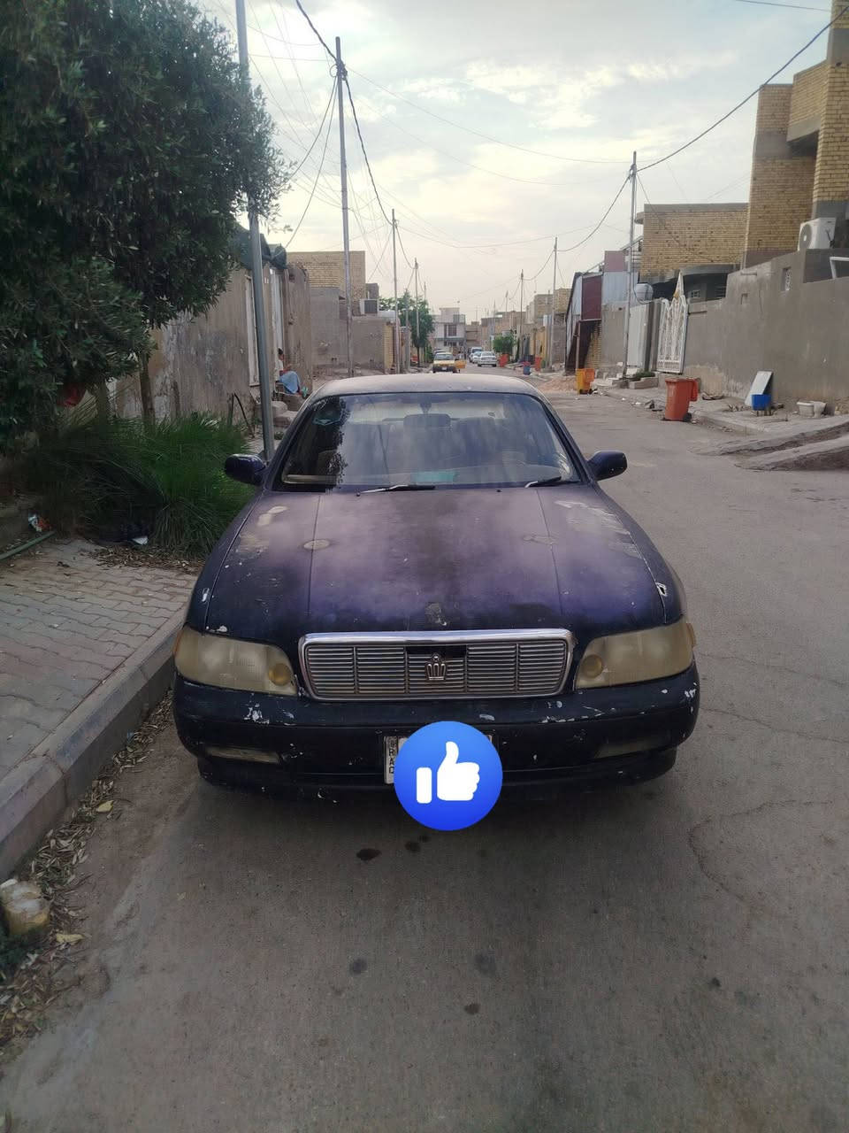 ماجستا • مكفولة • رقم بصرة
