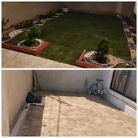 حدائق الموصل • زراعة ثيل • تقليم أشجار