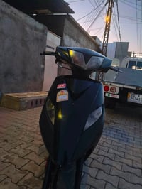 ماكس ثعلب • ما مفتوح • ٢٠٠٤