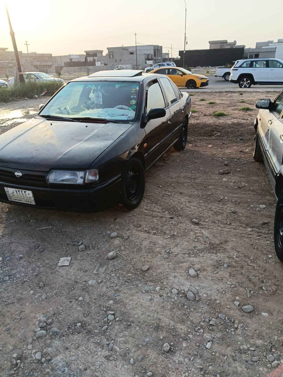 برايمر ١٩٩١ • محرك كامل • سنوية ٢٠٢٩