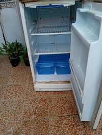 كونكورد • شغالة • بغداد الغزالية