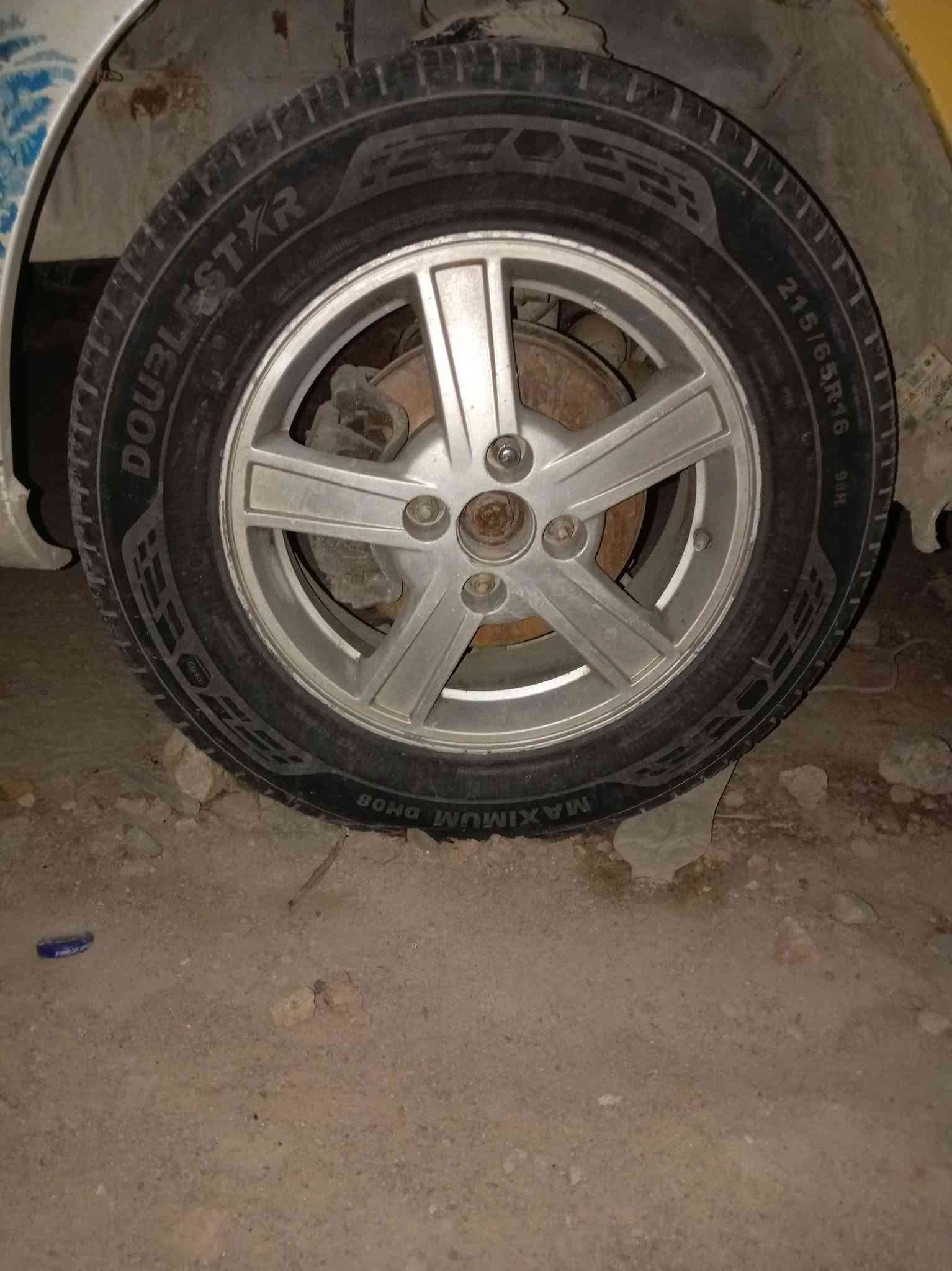 ابيكا تفصيخ غراس الكوفه ***********
