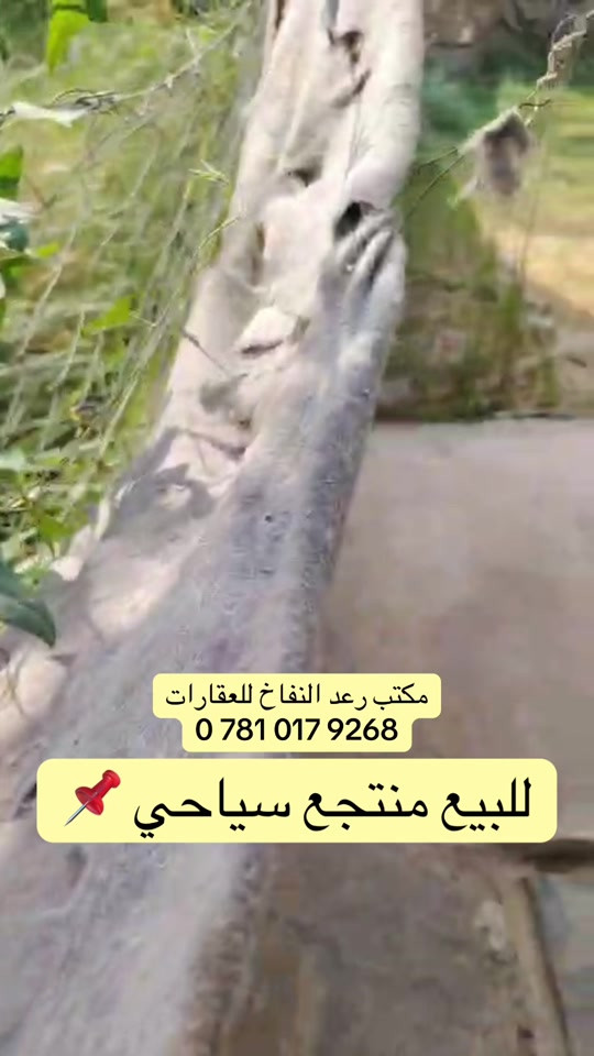 منتجع سياحي • البو نعمان • ٥٠٠م