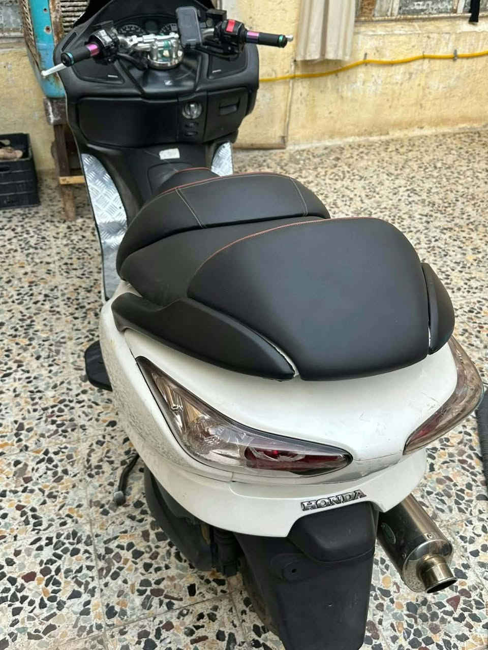 فورزة • فول • مكفول