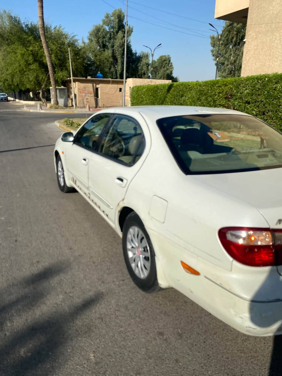 مكسيما • ٢٠٠٨ • رقم انكليزي