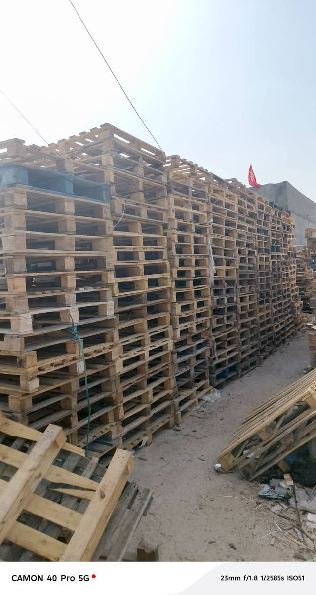 سكيب • ١٠٠×١٢٠ • سفوان