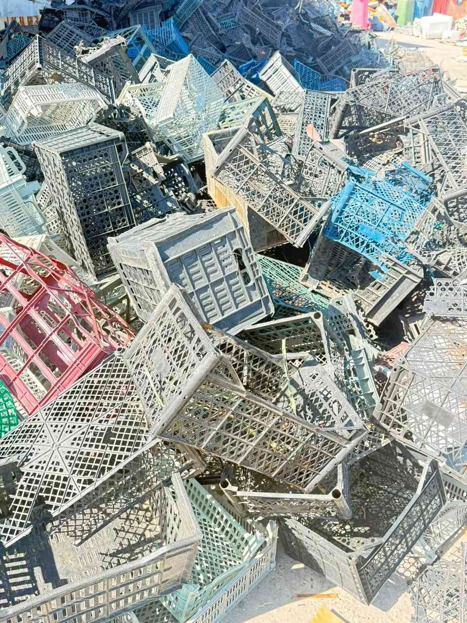 السلام عليكم ورحمة الله وبركاته 

مستمرون معكم في محلات البركة لإستلام كافة أنواع البلاستيك والكرتون وقواطي الببسي بأسعار تنافسية لتعود بالفائدة عليك وتوفر لكثير من العاطلين عن العمل مصدر رزق جيد لتعينهم على متطلبات الحياة لهذا مستمرين معكم منذ 8 سنوات دون انقطاع وحياكم الله جميعاً 
 #_الاسعار 
1-البلاستك (دبة +كرسي+حاوية+سطل خاثر +بطل شامبو  )ب300دينار للكيلو
2-الصندوق ب200دينار 
3-البلاستك المنزلي (جانات +مواعين بلاستك وغيرها )ب200دينار للكيلو 
4-الكارتون ب110دينار للكيلو 
5-النايلون الشفاف ب250دينار للكيلو 
6-الغسالة ب450دينار للكيلو 
وبيكم خير وتدللون 
الموقع 
#_الجدعة الشارع العام مقابيل سيراميك المصطفى بالقرب من مول كرستال مجاور مجمع العبداللطيف للملابس 
الموقع https://maps.app.goo.gl/oG8BVpNkRGy1uz668?g_st=ic
للاستفسار اتصل/***********
