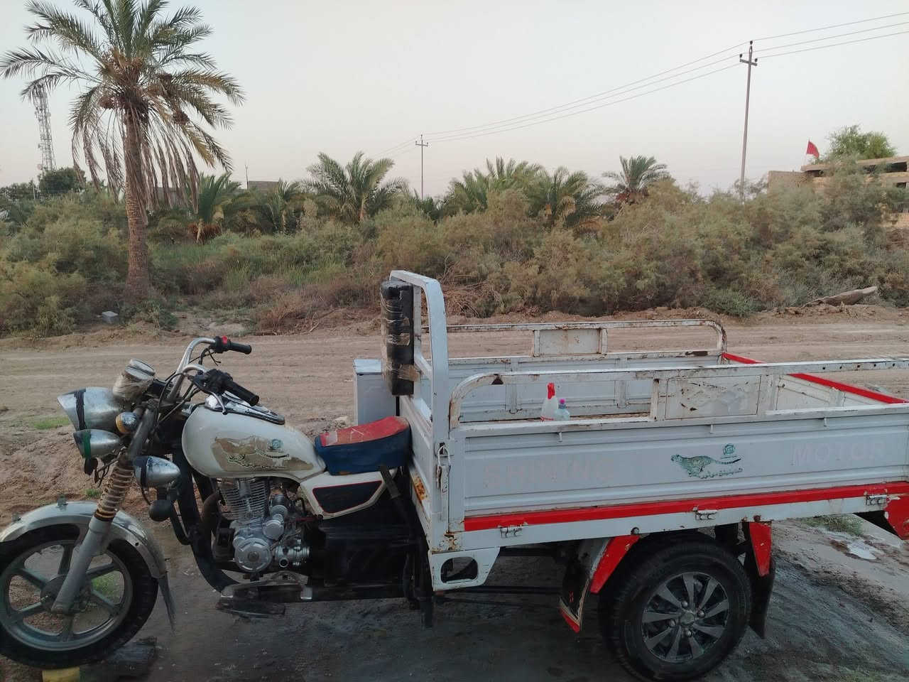 موديل ١١ • باب أول • سوك الشيوخ