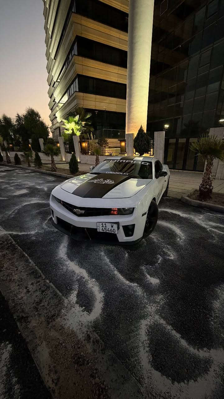 كمارو • ٢٠١٣ • بدون صبغ