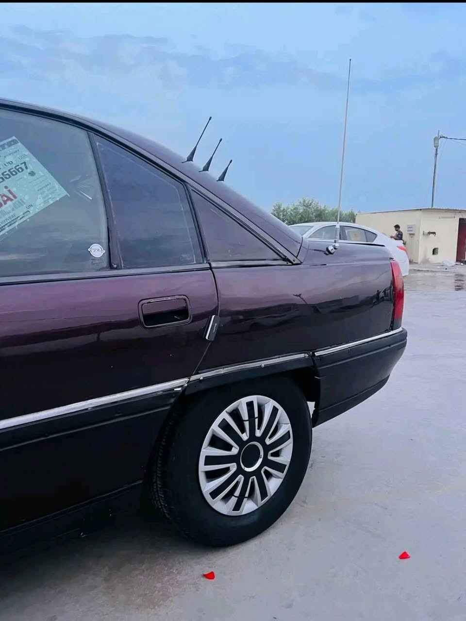 اوميغا • ١٩٩١ • مكفولة محرك