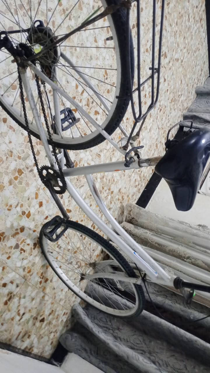 بايسكل