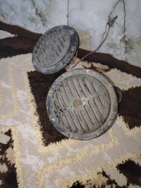 هورنات • سوداء فحمه • بلاديان