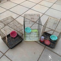 خانات • ٧٠×٤٥ • الحله
