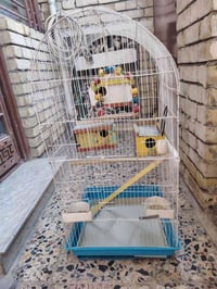 قفص • جديد