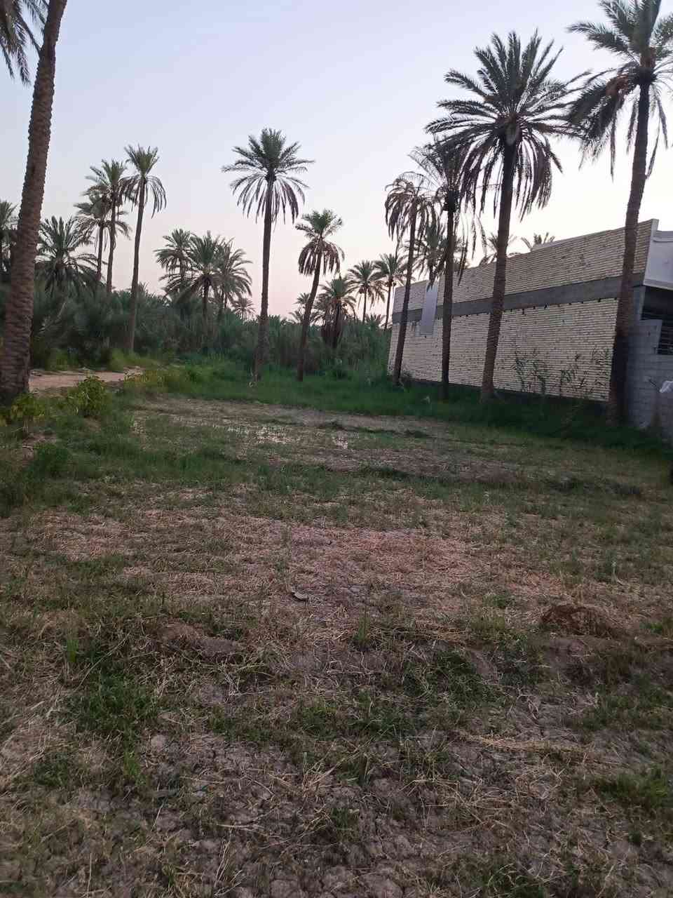 بستان للبيع مساحه دونم و 190 متر المكان  كربلاء شارع بغداد عامود 54 قرب مطبخ العتبه خلف جامعه الزهراء نوع العقار طابو زراعي  سند 25
‏
‏ للاستفسار الاتصال على الرقم
‏***********
‏***********
‏***********
