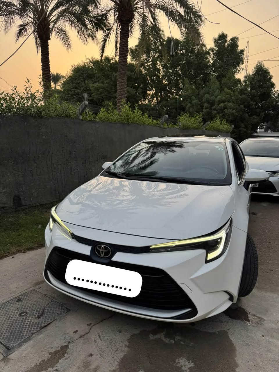 كورلا هايبرد • ٢٠٢٥ • رقم بغداد