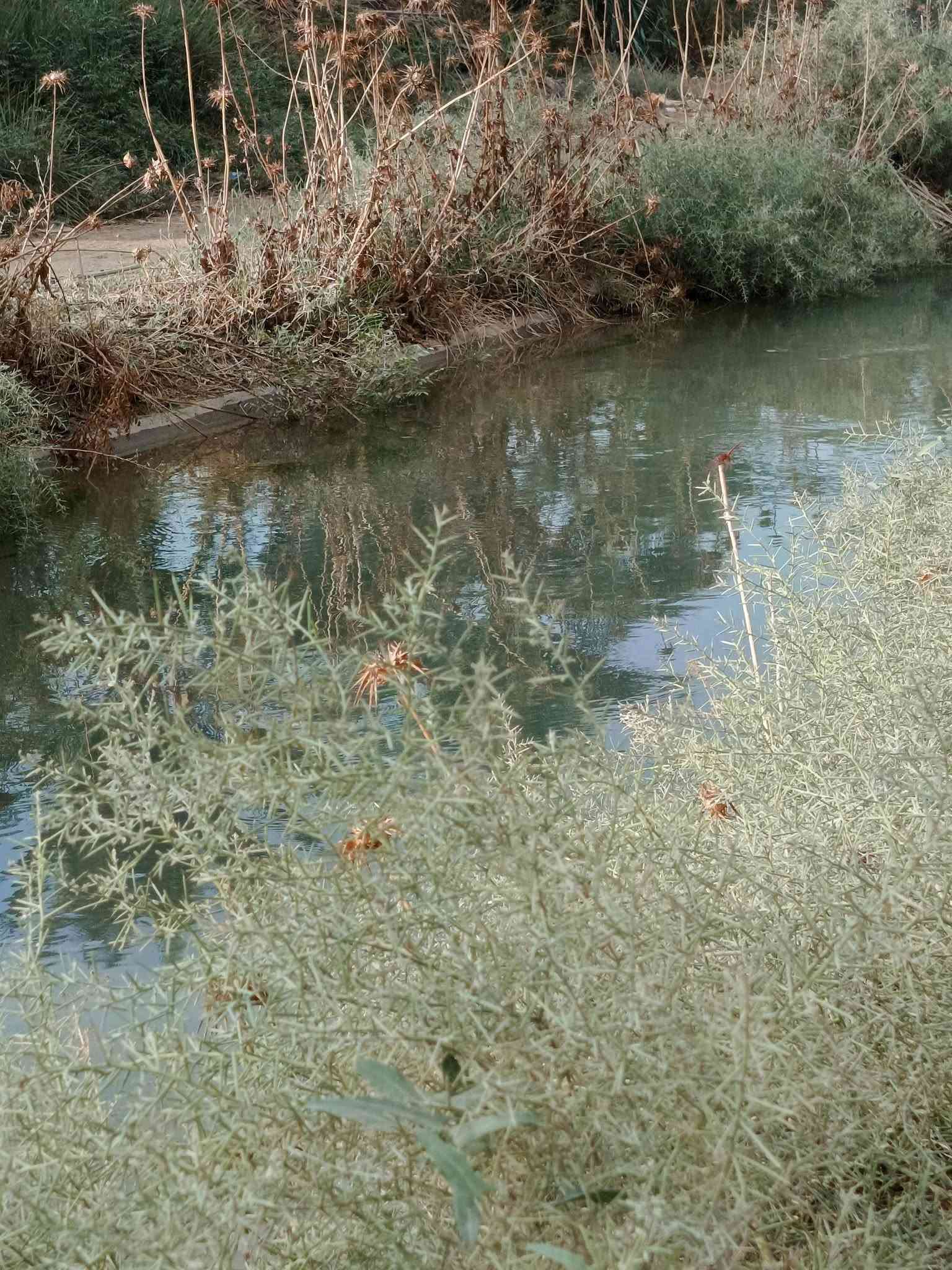 الراشدية العراكنة • ١٨٠٠م • سند ٢٥