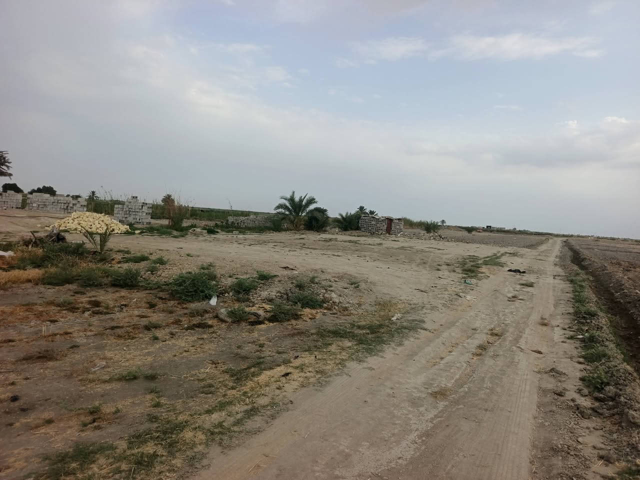 سلام عليكم عندي ثلاثة دونمات اللبيع مع بيتين هيكل وبتلو وباقي تفاصيل خاص مكان قرب المصب العام ***********
