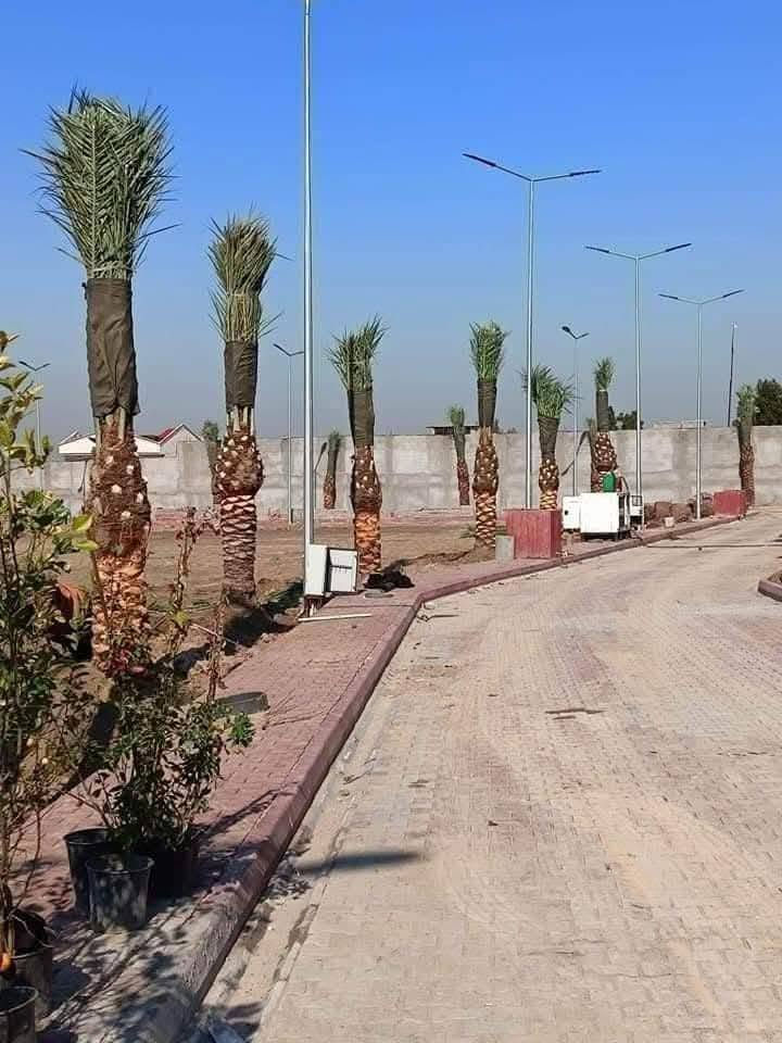 السلام عليكم  كادر متخصص لتجهيز المزارع والمنتجعات والمسابح  تجهيز الحدائق والبساتين تشجير الحدائق تشجير البساتين لدينا جميع انواع النخيل برحي مكتوم جبجاب بريم بلكه بربن جميع انواع النخيل و ترتيب الاراضي المتروكه وتسميدها بالسماد الحيواني وعمل منظومات تقطير نعمل في جميع محافظات العراق *********** /***********
