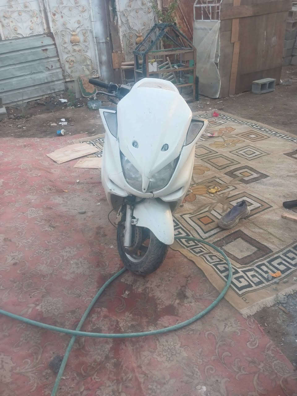 ماجسته • دبل رون • جيب باتري
