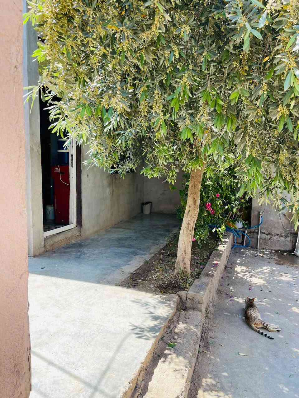 #اعلان
بيت للبيع في حي الشعب مجاور ابتدائية الزاب و المحكمة يم السوك يعني ماتحتار 

يتكون من  ٣ غرف داخلية 

ربعة خارجية 7 × 4

غرفه خارجية مع صحيات شغل حديث

بيت محوش كامل و جاهز

شراي يتصل ***********
