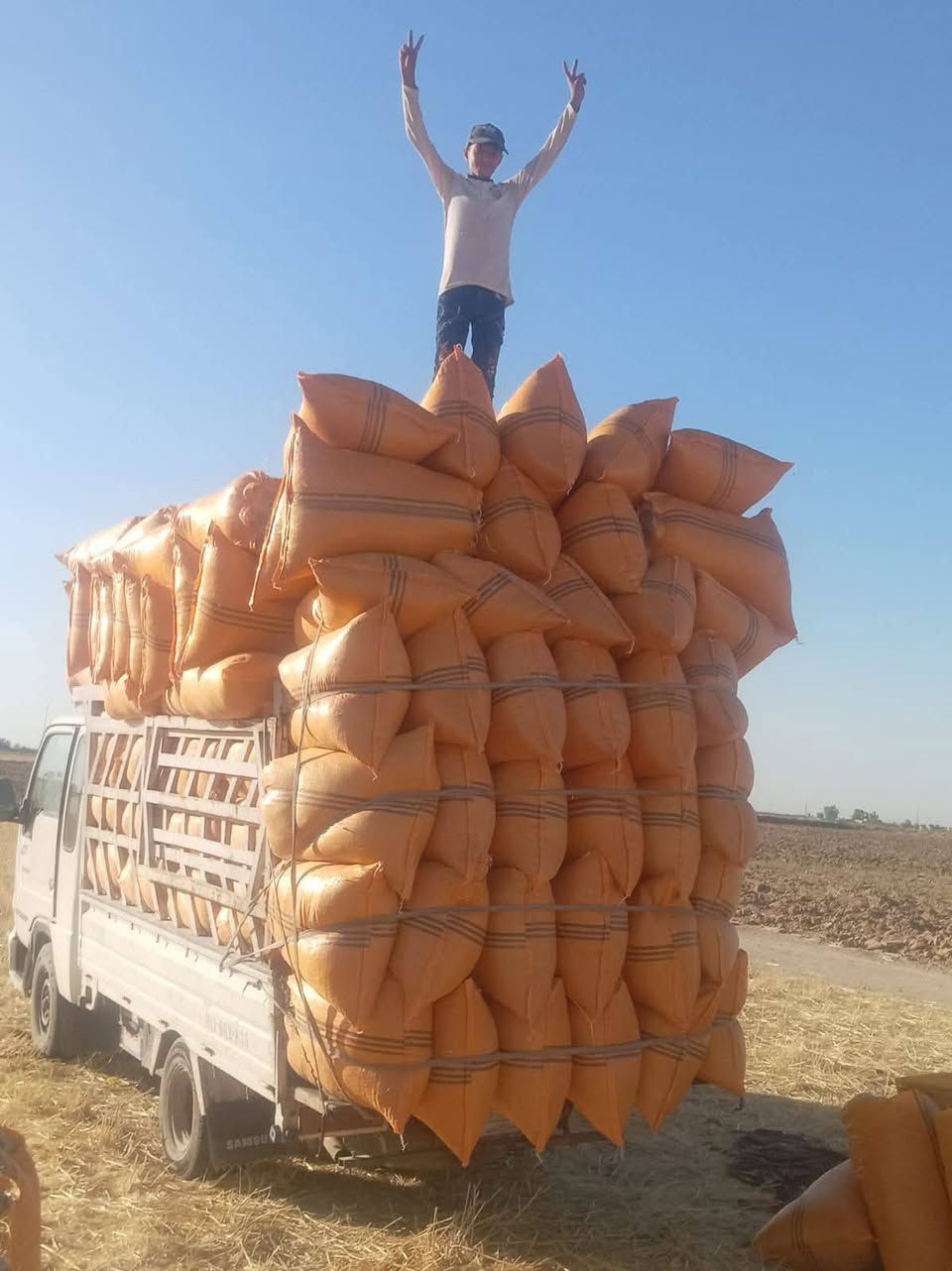 السلام عليكم تبن ترس فول درجه اولى راسكم            أبو60 الزوج ب 2500 مطروح بالمكان التواصل عندنا خدمه توصيل باجره كل المحافظات على الهاتف ***********  /***********ويوجد خدمة توصيل أجرة بغداد وديالى

نص مكتوب في الصور:
- O HONOR X6a
- 50MP Triple Camera