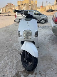 ماكس بوليسي • كفاله • بصره