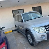 باجيرو • ٢٠١٠ • كفالة عام