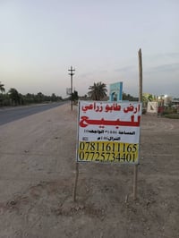 النجف المناذره • طابو زراعي • ١٤٤٦م
