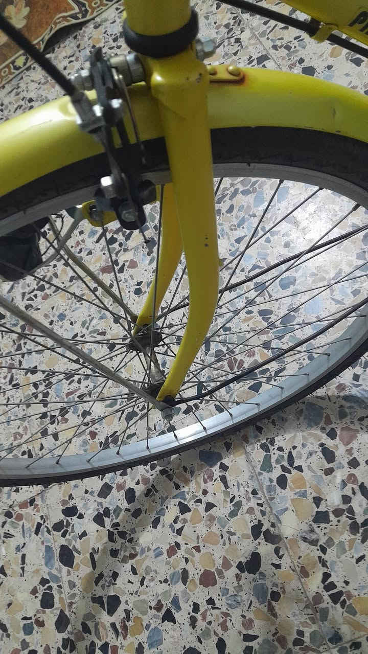 كربلاء • باسكل • ٢٦