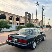 أرنب شاصي طويل • ١٩٩٥ • رقم البصرة