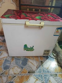 مجمدة • للبيع • نظيفة