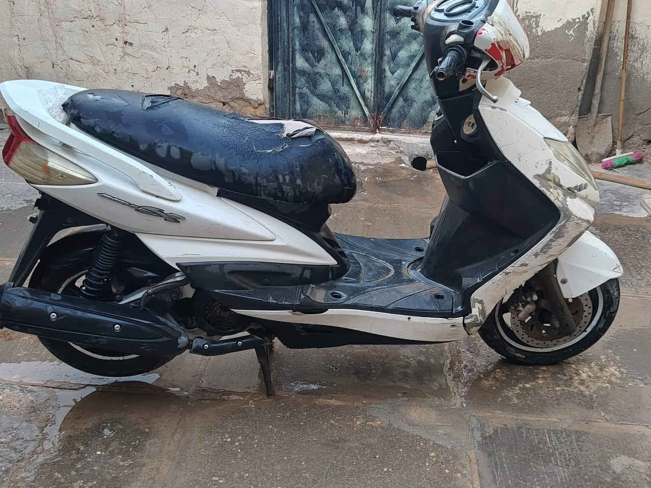 سكنس ياباني فحل للبيع
عوزها بس بخاهات
سعرها ٣٥٠ وبيها مجال الشراي

مكاني ديوانية قضاء عفك
***********
