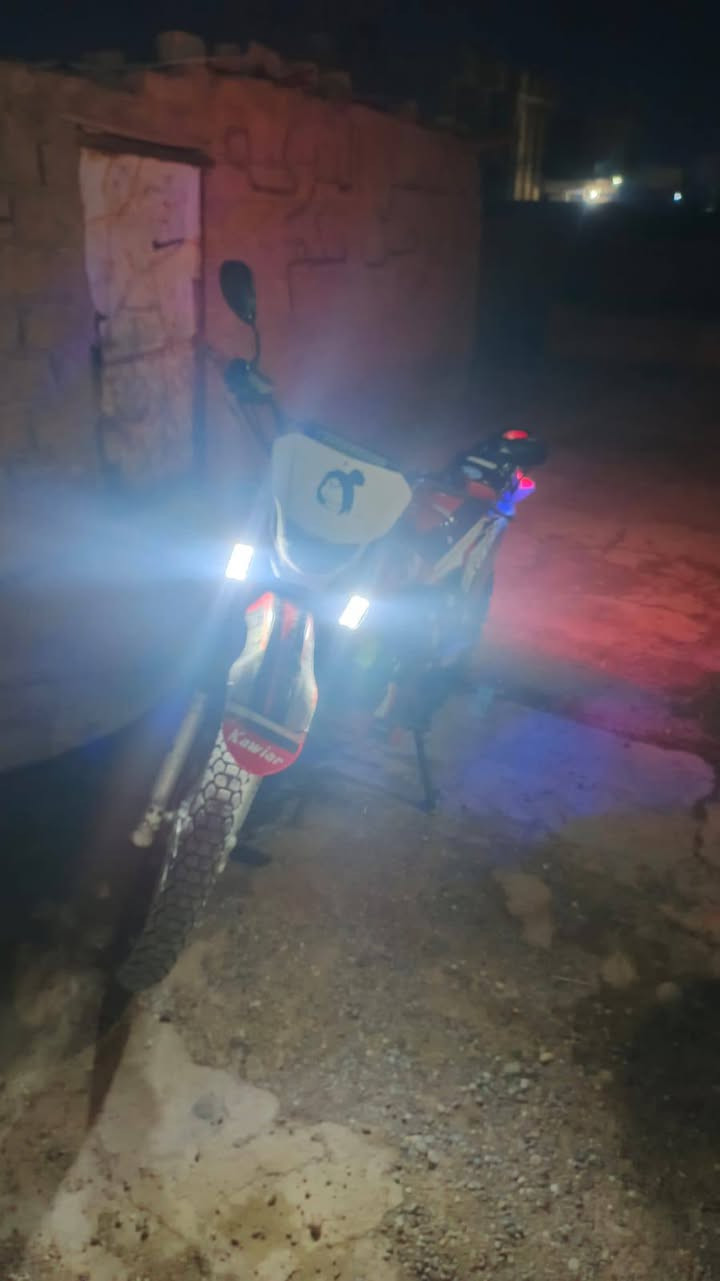 قفاز • كاوير • ٢٠٢٤