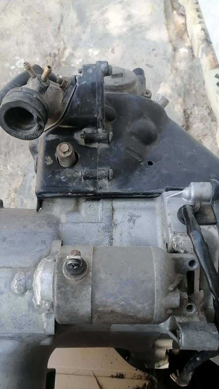 السلام عليكم اعادة النشر بسبب النفوس الضعيفه 
طابوكه مامعروفه شكد سلف ترجيه بلادي  ابيعه 55
سعرها 250الف 
للتواصل ***********
توصيل موجود
