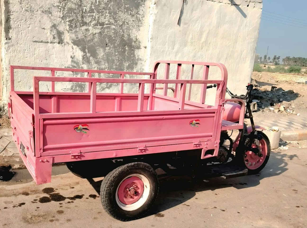 ستوته • بدون اوراق • كحلاء